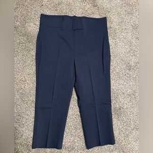 Passport Navy Ankle Pants